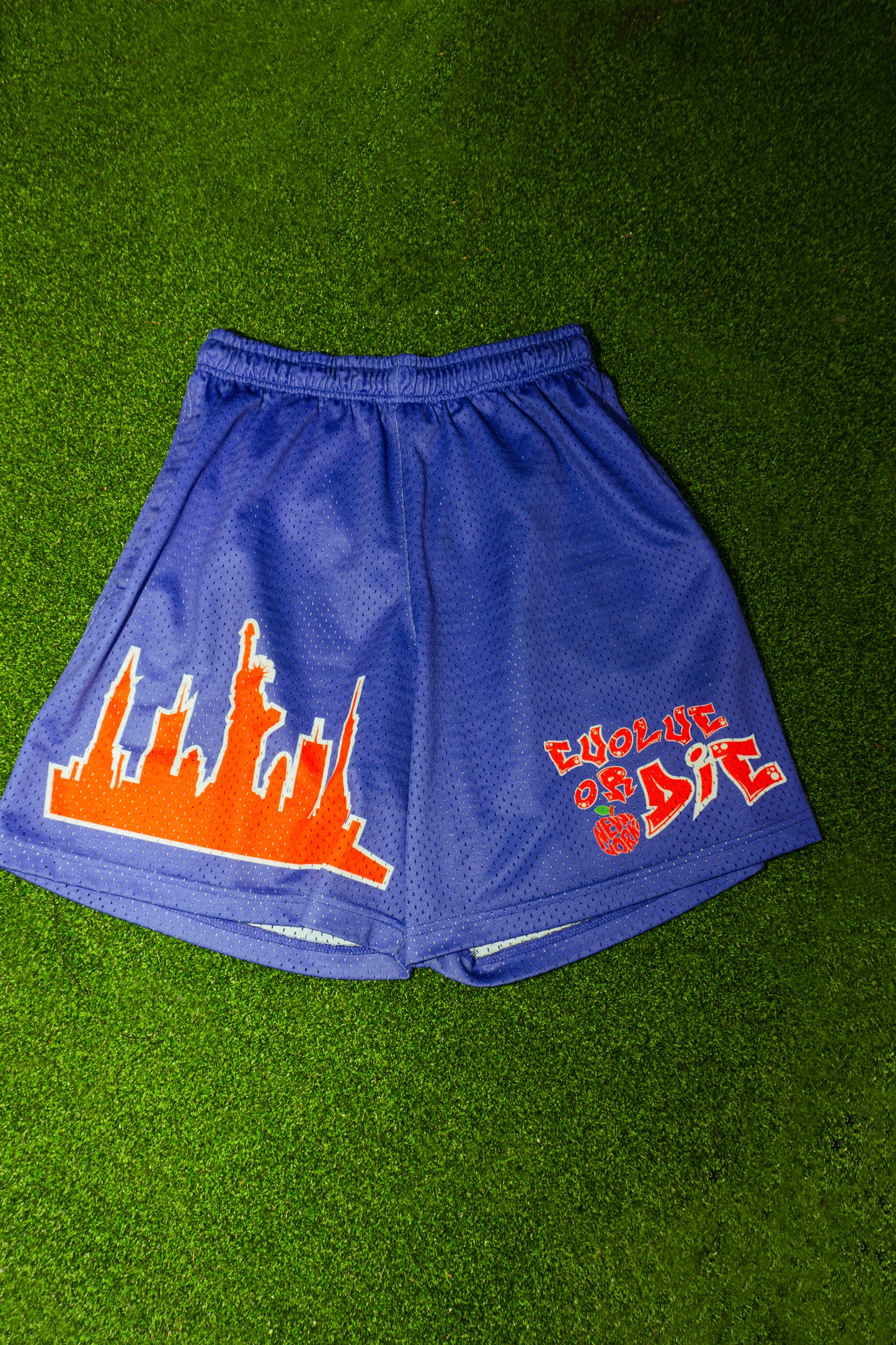 Evolve or Die Boogie Mesh Shorts